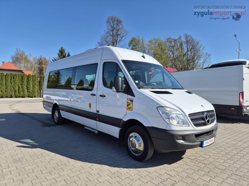 MERCEDES – BENZ SPRINTER / SPROWADZONY / KLIMATYZACJA / MANUAL / EURO 5